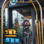 Aava Whistler Hotel